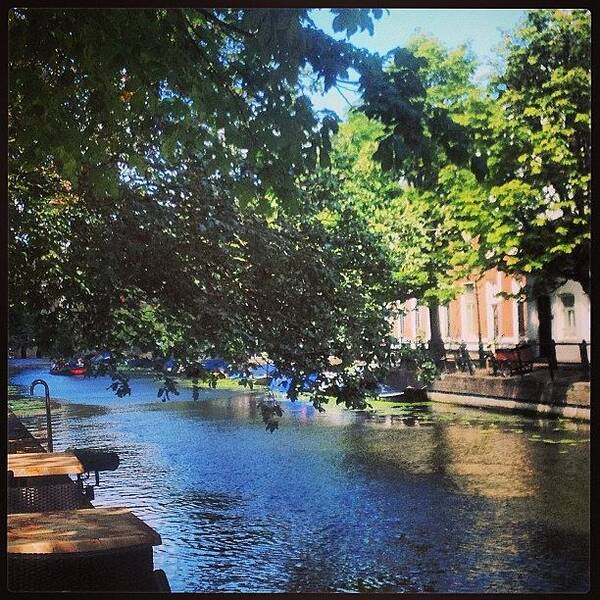 Canal Art Print featuring the photograph #canal #boat #holland #thehague by Laura Teodora