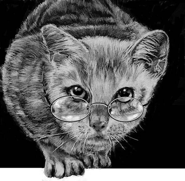 Cat In Glasses Art Print featuring the drawing Cat In Glasses by Jean Cormier