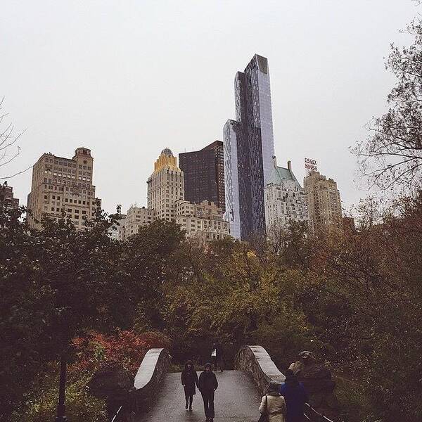 Vsco Art Print featuring the photograph Central Park NYC by Jacob Buwalda