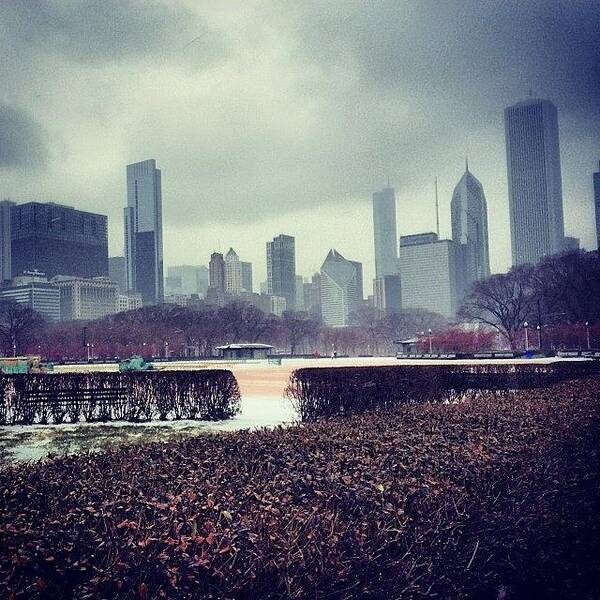  Art Print featuring the photograph Chicago, Il - Hedge - Dec 5-8, 2013 by Trey Kendrick