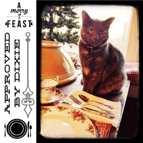 Dixie Art Print featuring the photograph Christmas Morning #breakfast Approved by Teresa Mucha