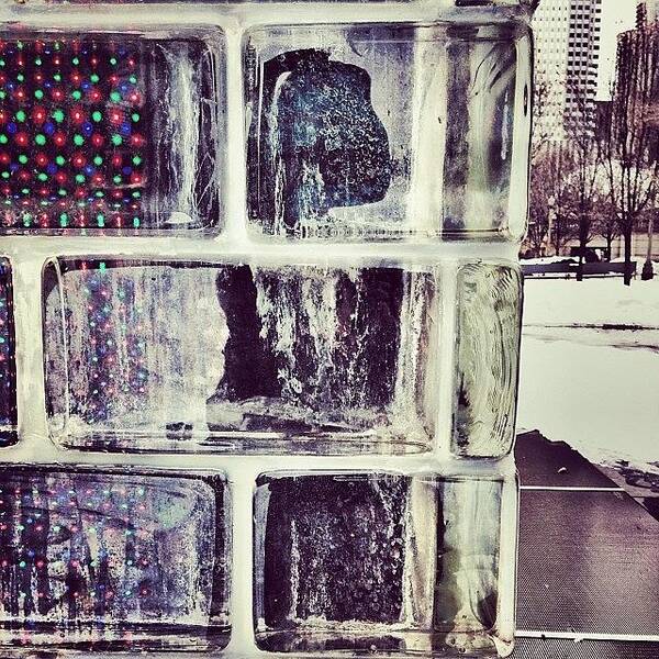 Igerschicago Art Print featuring the photograph Crown Close Up. #igerschicago by Beth Cole