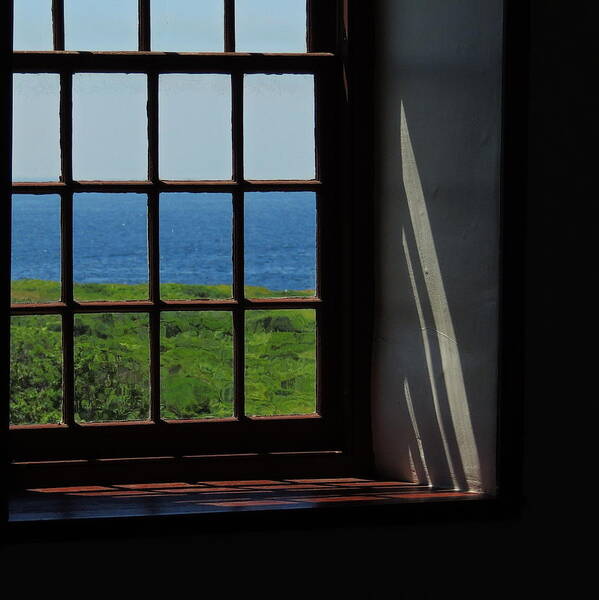 Window Art Print featuring the photograph Day Dream by Mim White