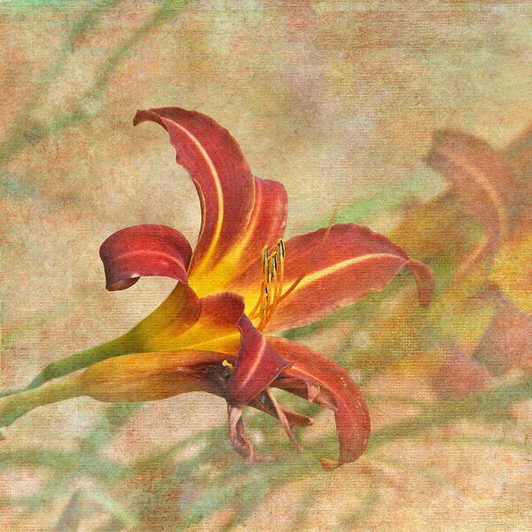 Lily Art Print featuring the photograph Day Lily by Angie Vogel