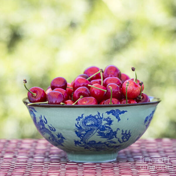 Cherry Art Print featuring the photograph Delicious by Linda Lees