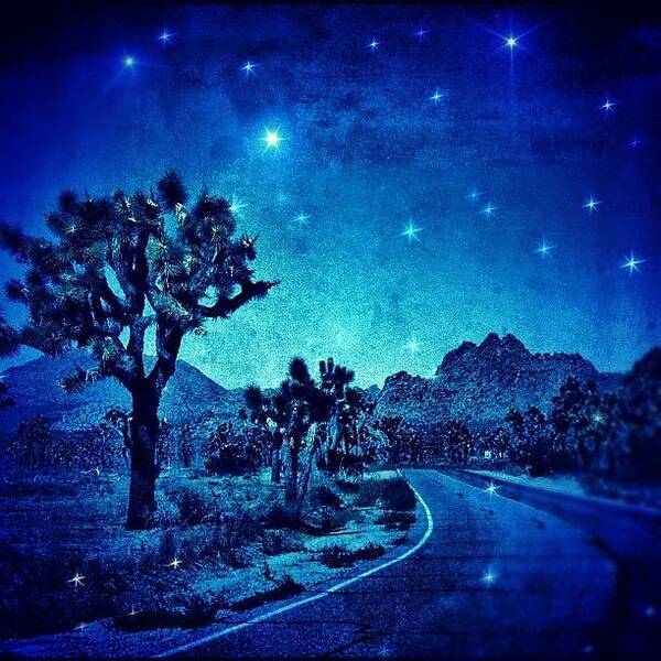 Joshuatree Art Print featuring the photograph #desert #night #nationalpark #darkness by Jill Battaglia