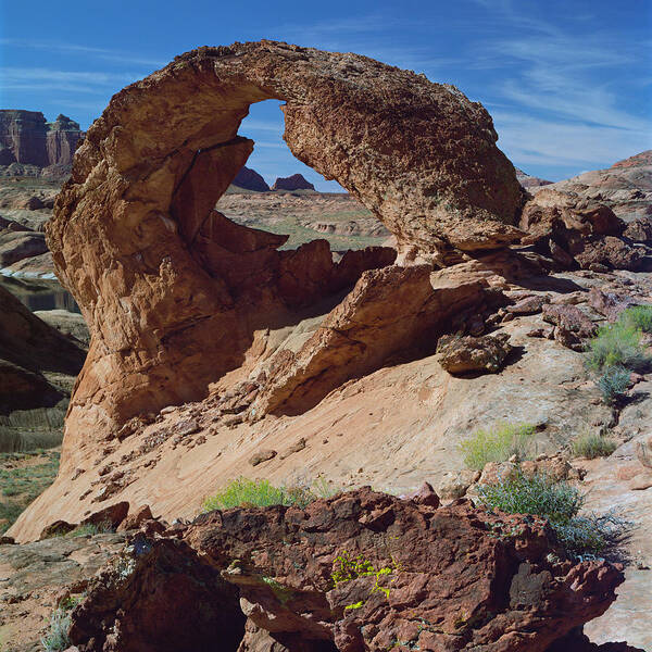 Arizona Art Print featuring the photograph Diagenetic Arch-SQ by Tom Daniel