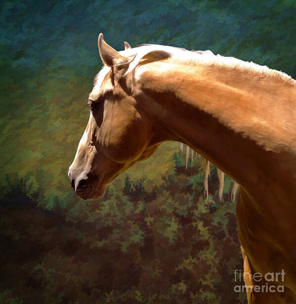 Palomino Art Print featuring the photograph Distant Dreamer by Melinda Hughes-Berland