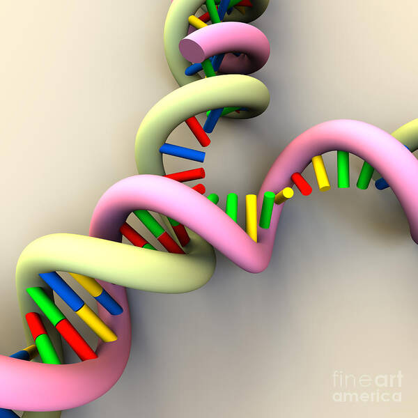 Acid Art Print featuring the digital art DNA Replication Fork #7 by Russell Kightley