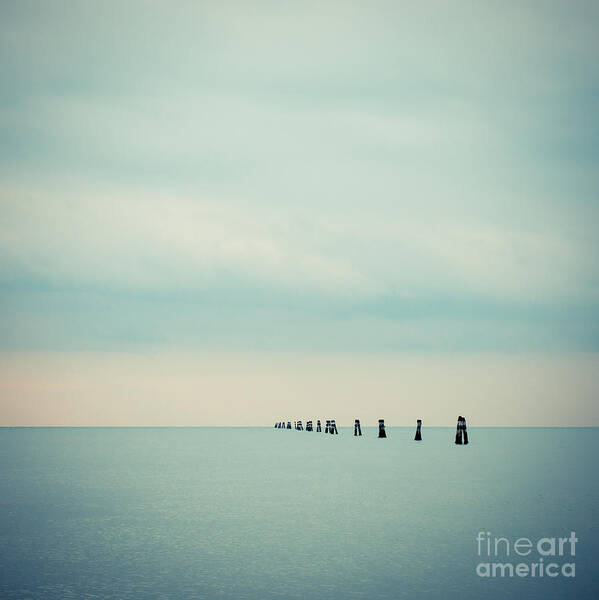 1x1 Art Print featuring the photograph Dolphin by Hannes Cmarits