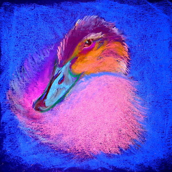 Bird Art Print featuring the painting Duckling Pretty in pink by Sue Jacobi