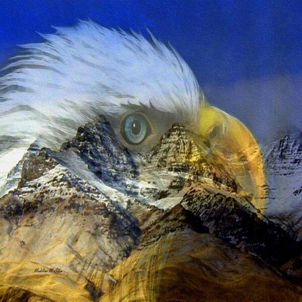 Eagle Art Print featuring the digital art Eagle Pass by Madeline Allen - SmudgeArt