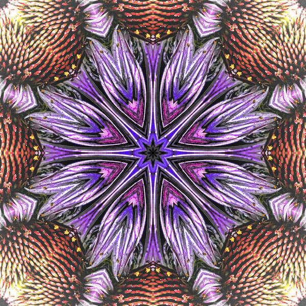 Mandala Art Print featuring the photograph Echinacea Flower Mandala by Beth Sawickie