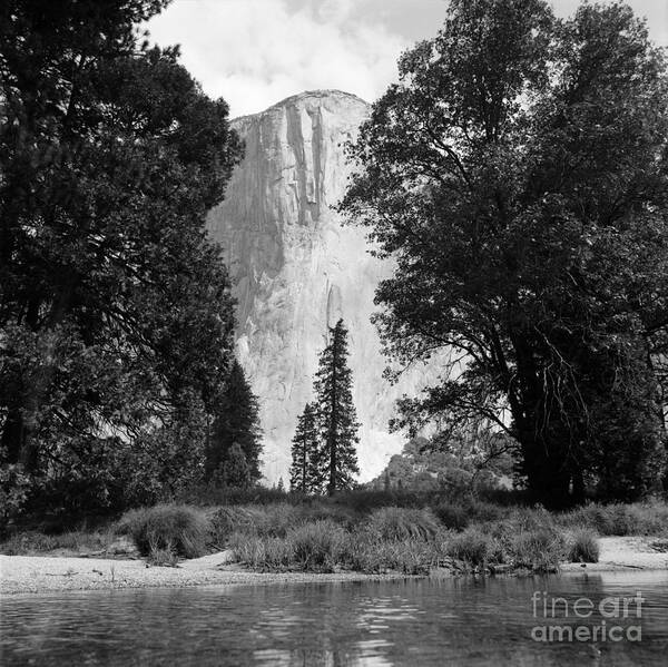 El Capitan Art Print featuring the photograph El Capitan Yosemite by Riccardo Mottola