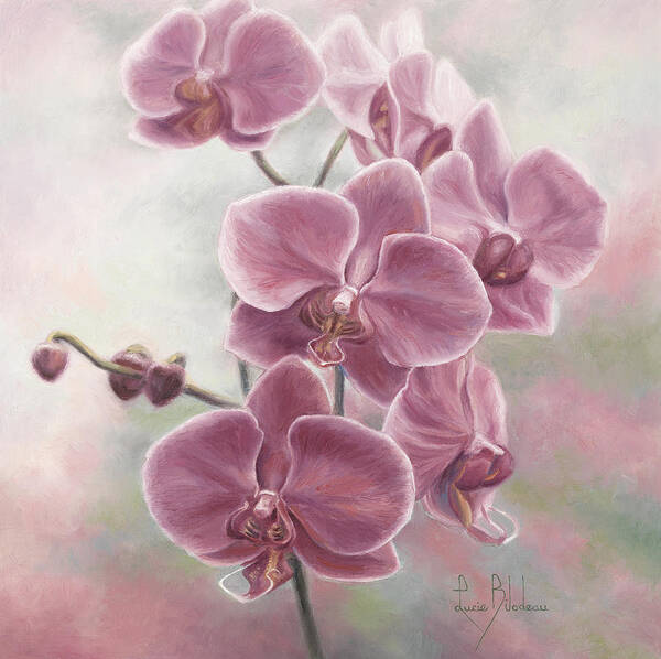 Orchids Art Print featuring the painting Elegant Orchids by Lucie Bilodeau