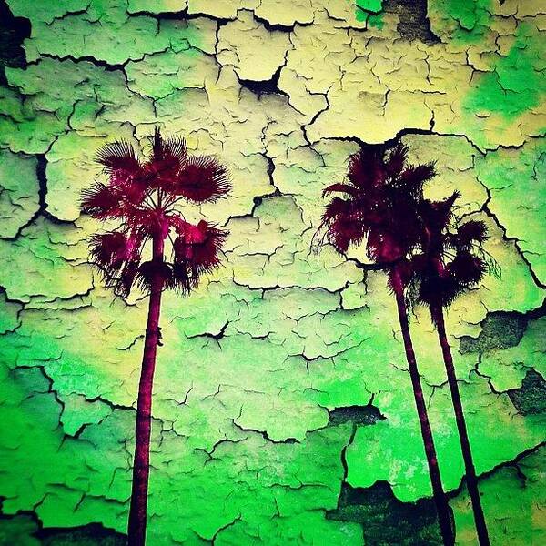 Waltdisney Art Print featuring the photograph Endless Summer.....🌴 by Yensids Sidekick