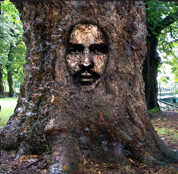 Tree Trunk Art Print featuring the digital art Face in a Tree by Mary M Collins