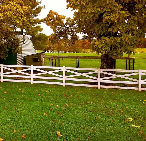 Eisenhower Art Print featuring the photograph Fall at Eisenhower Farm by Chris W Photography AKA Christian Wilson