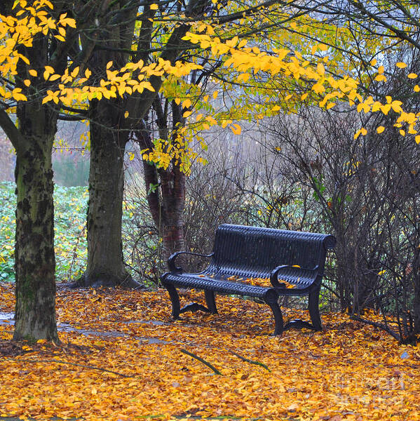 Fall Art Print featuring the photograph Fall Bench by Kirt Tisdale