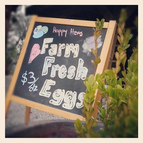 Farm Art Print featuring the photograph Farm Fresh Eggs Sign by Blake Kirby