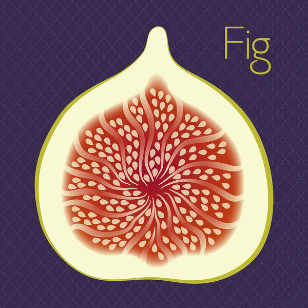 Fig Art Print featuring the digital art Fig by Christy Beckwith