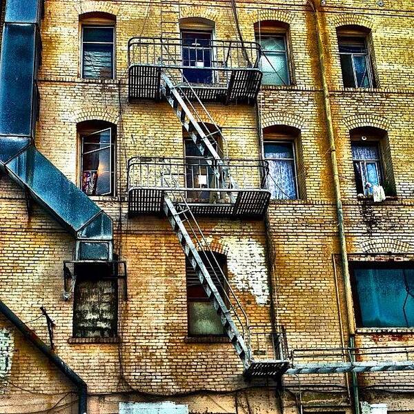 Filthyfacades Art Print featuring the photograph Fire Escape by Julie Gebhardt