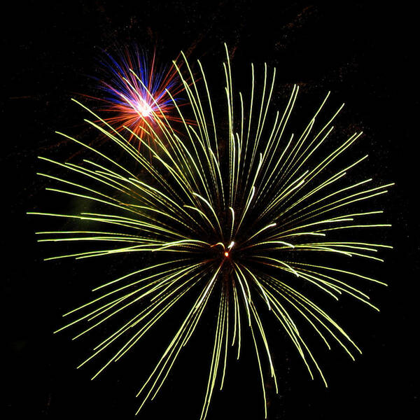 Fireworks Art Print featuring the photograph Fireworks - 1 of 3 by Life Makes Art