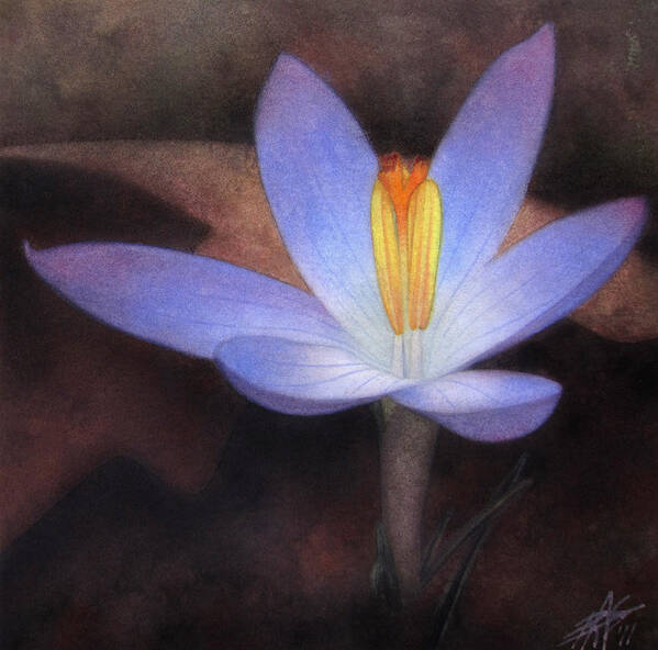 Crocus Art Print featuring the painting First Crocus by Robin Street-Morris