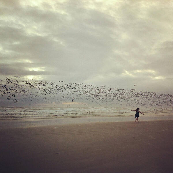 Water's Edge Art Print featuring the photograph Flock Of Seagulls by Cyndi Monaghan