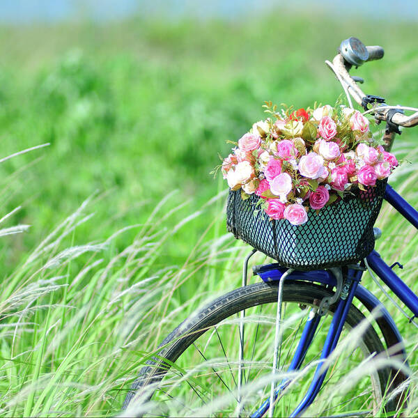 Bunch Art Print featuring the photograph Flower Bike by Photo By Arztsamui