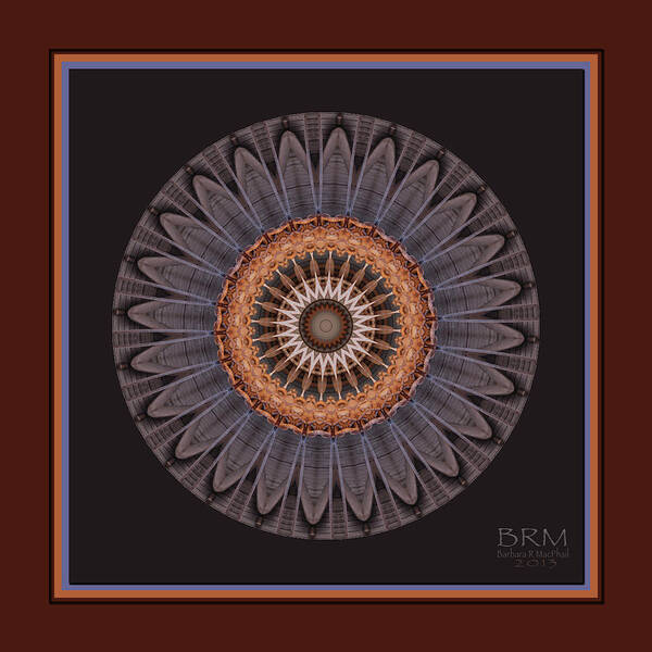 Kaleidoscope Art Print featuring the photograph Flower of Sorts by Barbara MacPhail