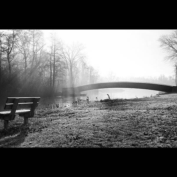 Black_white Art Print featuring the photograph Foggy Morning by Aran Ackley