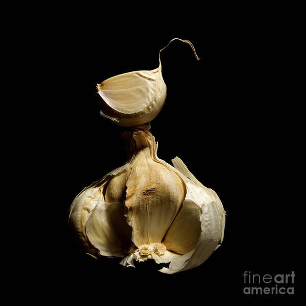 Food And Drink Art Print featuring the photograph Garlic by Bernard Jaubert