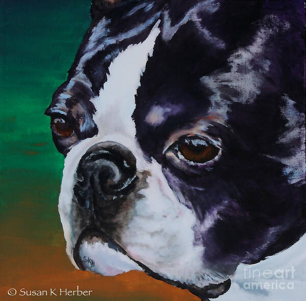 Animal Art Print featuring the painting George by Susan Herber