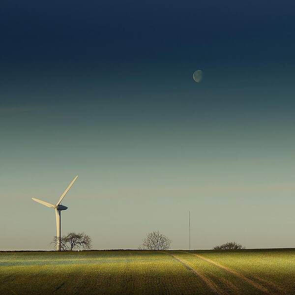 Tranquility Art Print featuring the photograph Giants...harvest The Wind by A Goncalves