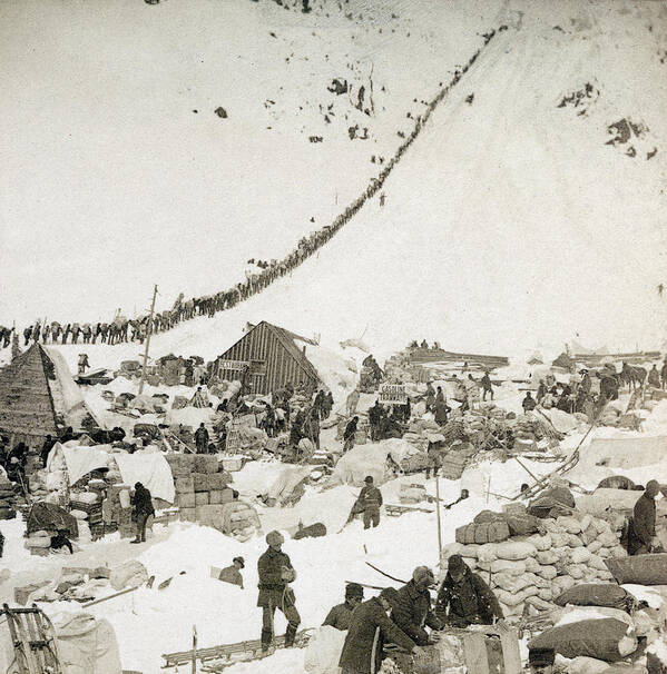 1897 Art Print featuring the photograph Gold Rush The Klondike by Granger