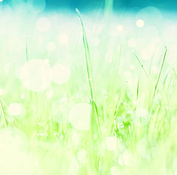 Grass Art Print featuring the photograph Grass With Natural Bokeh by Catlane