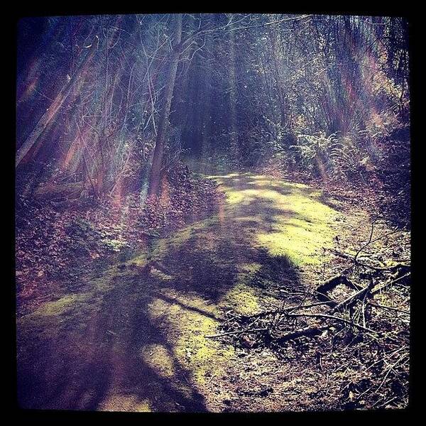 Moss Art Print featuring the photograph Green Moss Growing On The Path. #nature by Julie Gahan