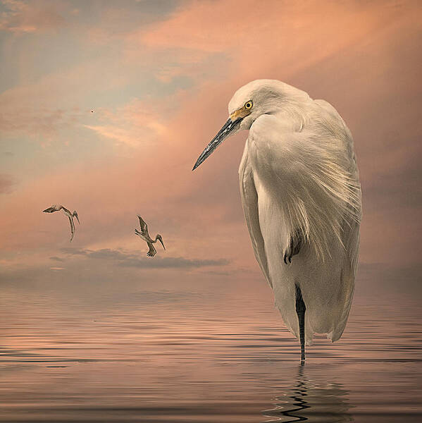 Photo Art Art Print featuring the photograph Gulf Sunset by Brian Tarr