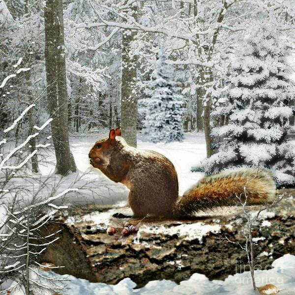 Squirrel Art Print featuring the mixed media Harry in Winter 2 by Morag Bates