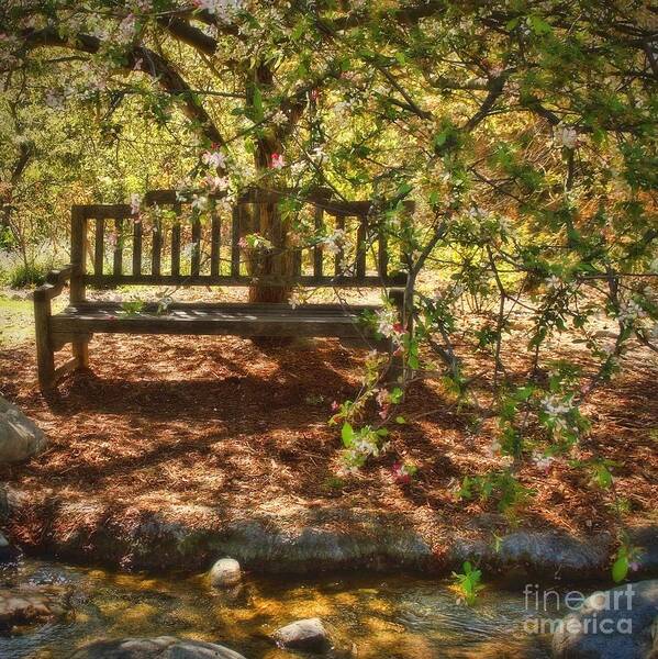 Wood Art Print featuring the photograph Have A Seat by Peggy Hughes