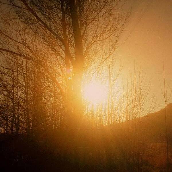 Northernireland Art Print featuring the photograph Hazy Morning In N.ireland. I'd Like To by Donna Wright