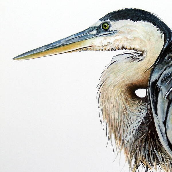 Heron Art Print featuring the painting Heron Study Square Format by Greg and Linda Halom