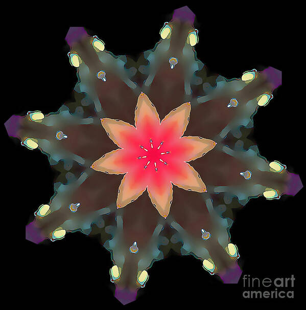 Mandala Art Print featuring the photograph Hibiscus Mandala by Wernher Krutein