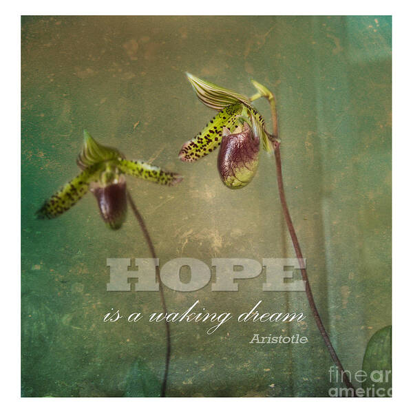 Quotes Art Print featuring the photograph Hope Is by Sally Simon