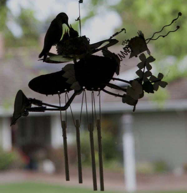 Hummingbirds Art Print featuring the photograph Hummingbirds on Wind Chime by Her Arts Desire