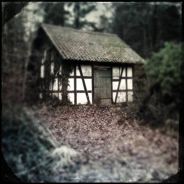 Hut Art Print featuring the photograph Hut in the forest - nature park Schoenbuch Germany by Matthias Hauser