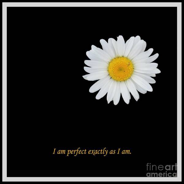 I Am Perfect Exactly As I Am Art Print featuring the photograph I Am Perfect Exactly As I Am by Barbara A Griffin