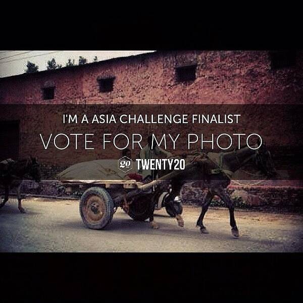  Art Print featuring the photograph I'm A Finalist In The Asia Challenge by Laura OConnell