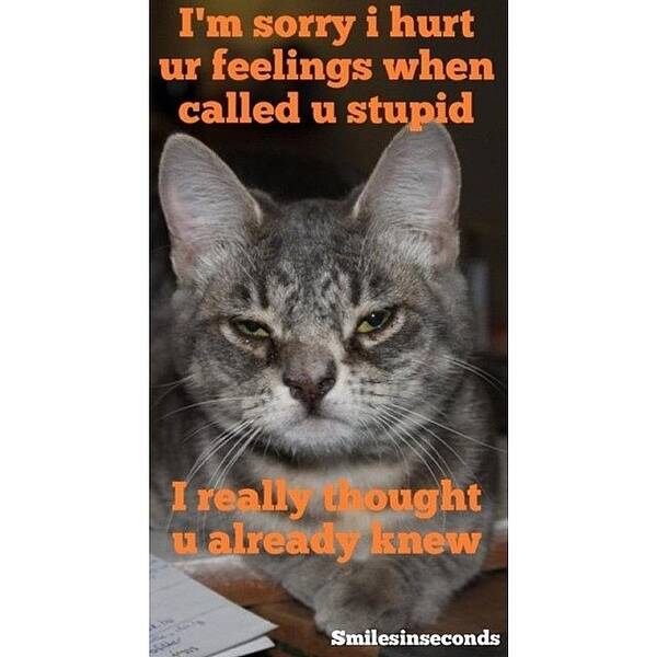 Petstagram Art Print featuring the photograph Im Sorry I Hurt Ur Feelings When Called by Smilesinseconds Bryant